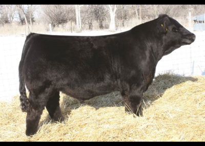 Kappes Northern Octane-SIRE