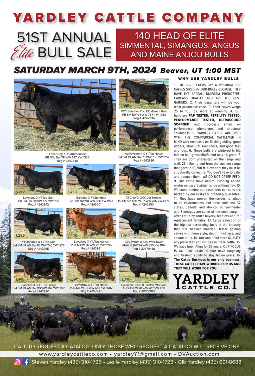 2024 Bull Sale | Yardley Cattle Company